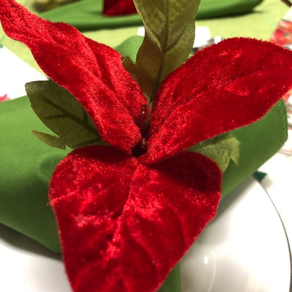 PLACEMATS - Picture 4 of 13